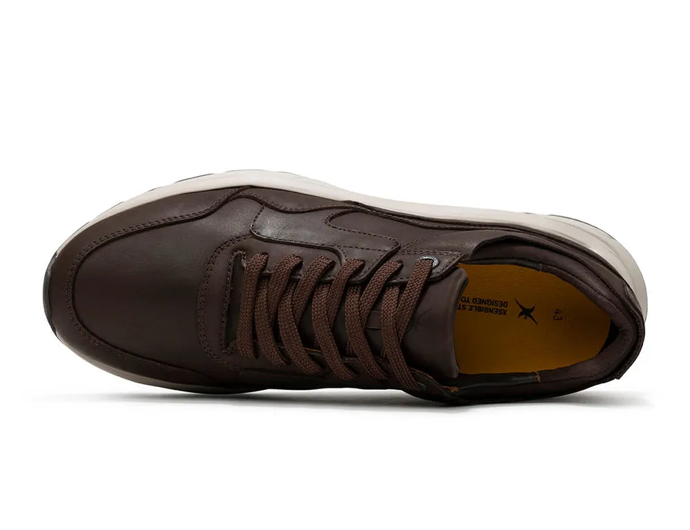 Golden Gate Dark Brown