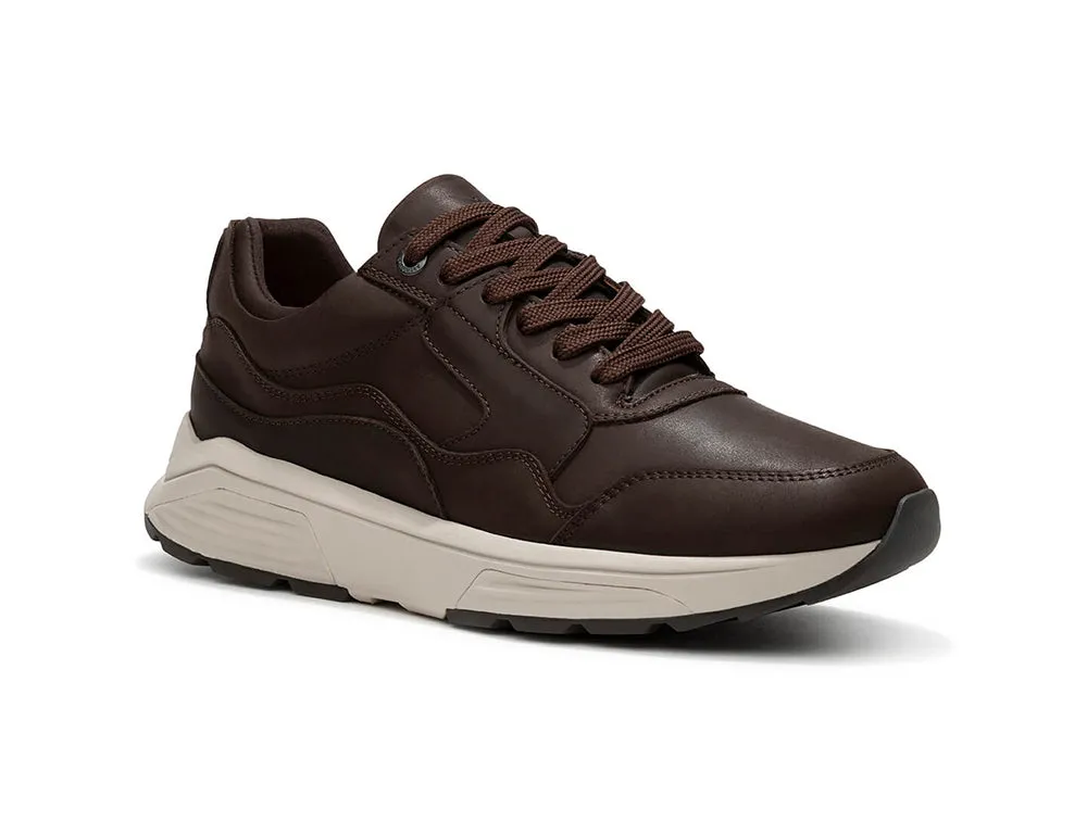 Golden Gate Dark Brown