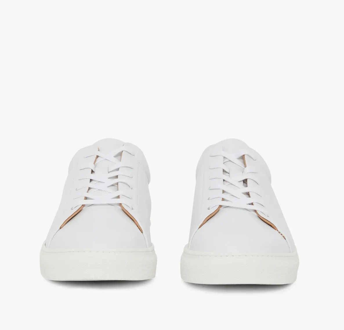 The Surry Trainer