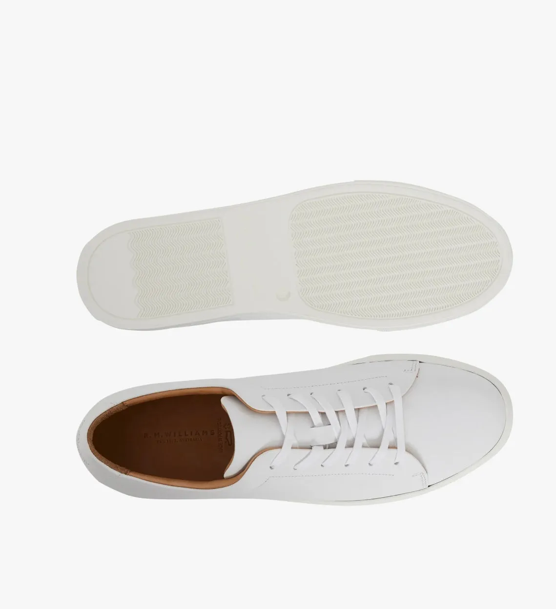 The Surry Trainer