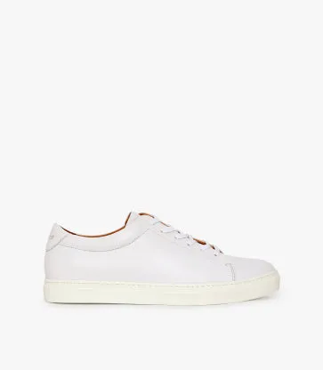 The Surry Trainer