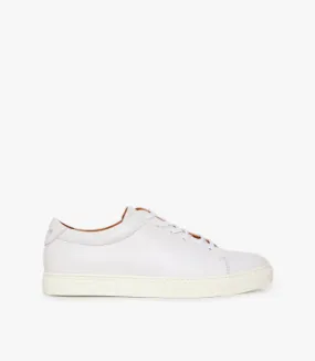 The Surry Trainer