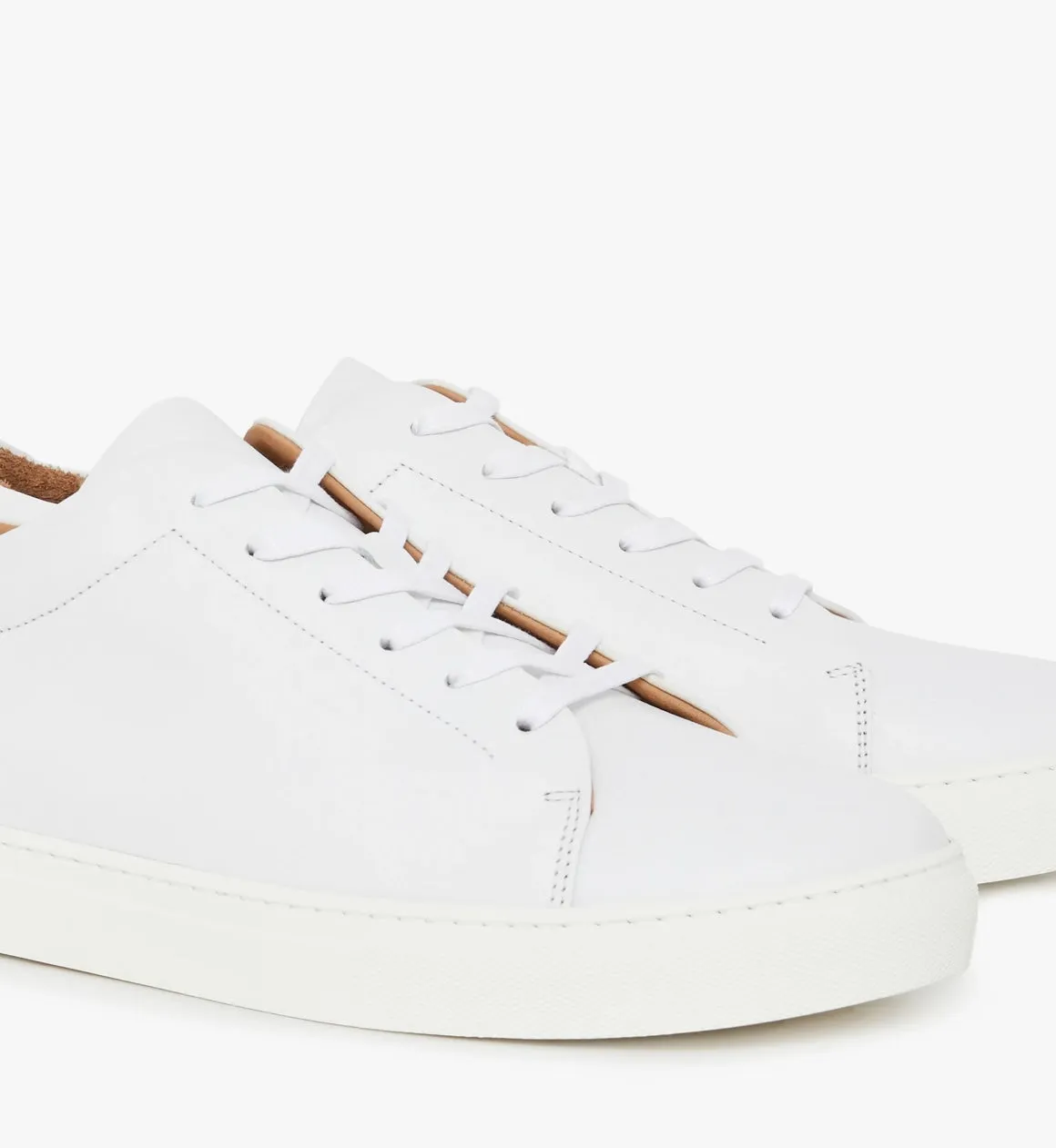 The Surry Trainer